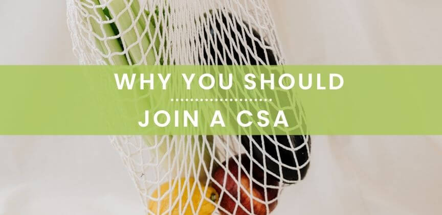 why you should join a CSA