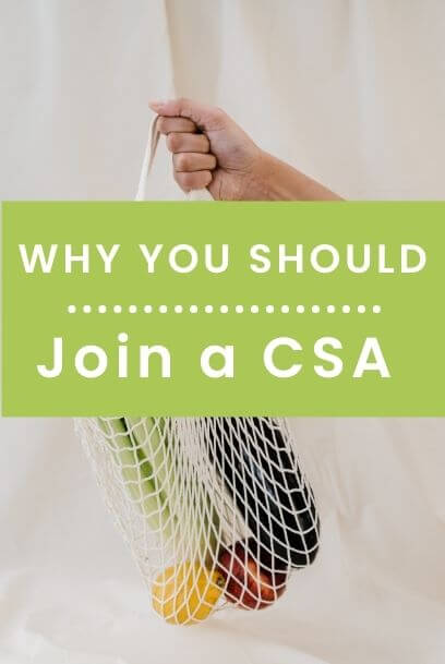 why you should join a CSA