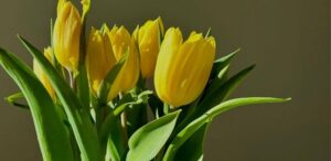 20 simple ways to spring clean your life